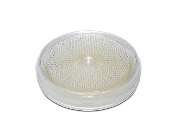 BACTair™ | Culture Media Plates for Air Quality Testing