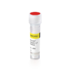 Incucyte® Caspase-3/7 Apoptosis Stain
