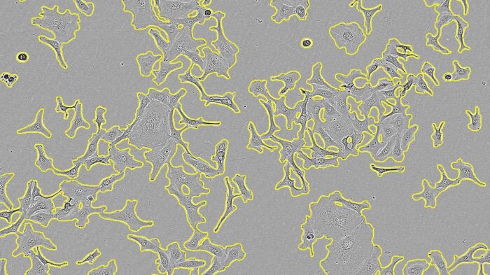 Incucyte® Base basic software module for cell analysis