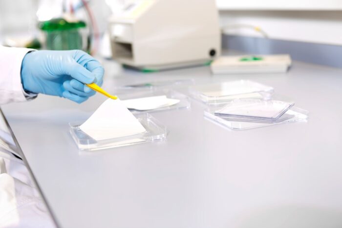 Filter Papers