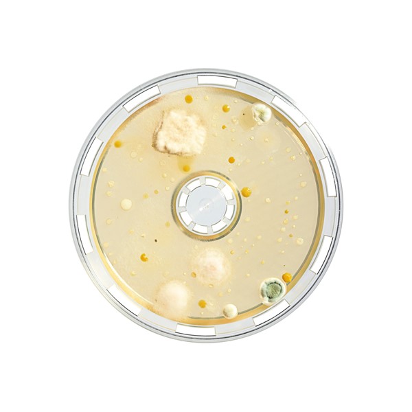 BACTair™ | Culture Media Plates for Air Quality Testing
