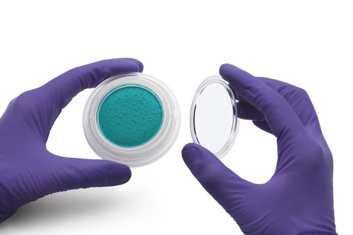 Microsart® @media Plates