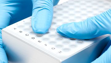 Octet® SPR Microfoils