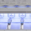 Fully Automated Dissolution System RoboDis II+