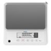 Puro® Large Flat Industrial Scale