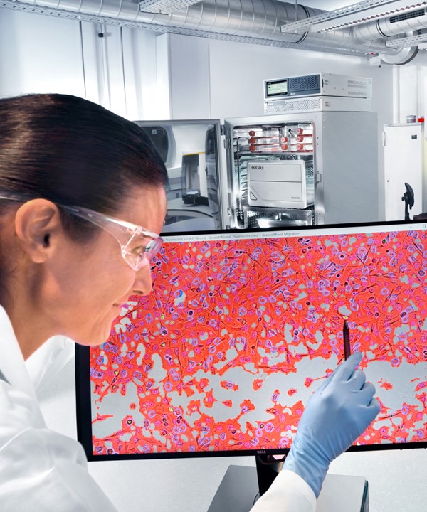 CellCelector Flex system for monitoring and selecting cells