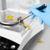 Entris® II Essential Line Analytical Balance