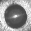 pic-standard-evaluation Mobile Image Evaluation