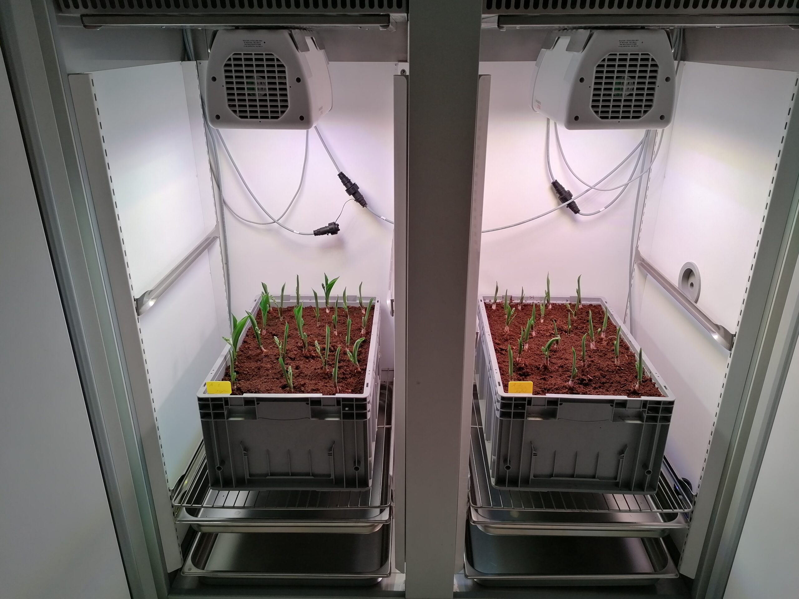 Aralab-Plant-research-chamber-1200-Heliospectra-Dyna-scaled-1