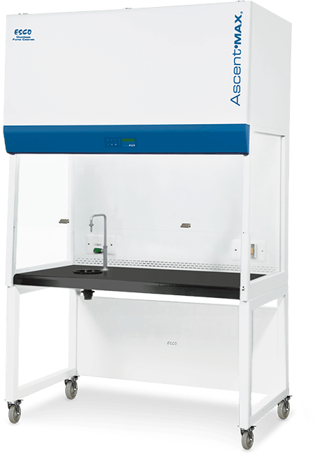 Ascent™ Max – B Series