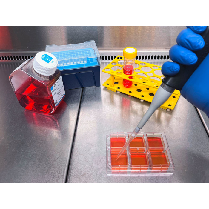 Kugelmeiers 3D Cell Culture Plates - Sphericalplate 5D (SP5D) - 6-Well Plate